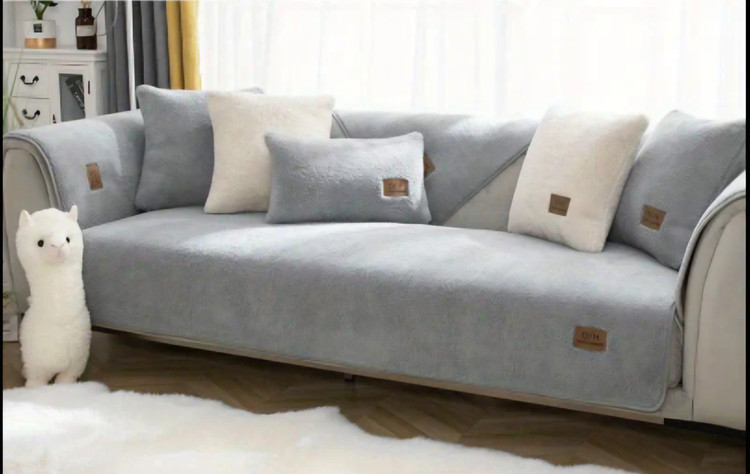 طوسی روشن